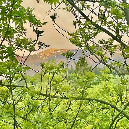 Stars W Szklarskiej Porebie