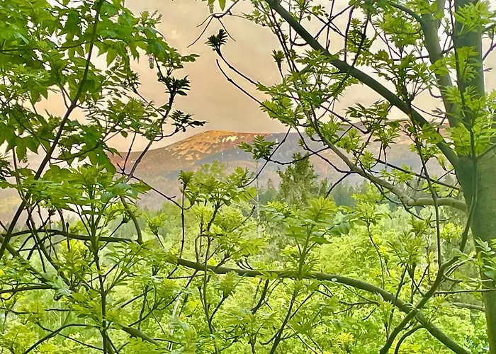 Stars W Szklarskiej Porebie